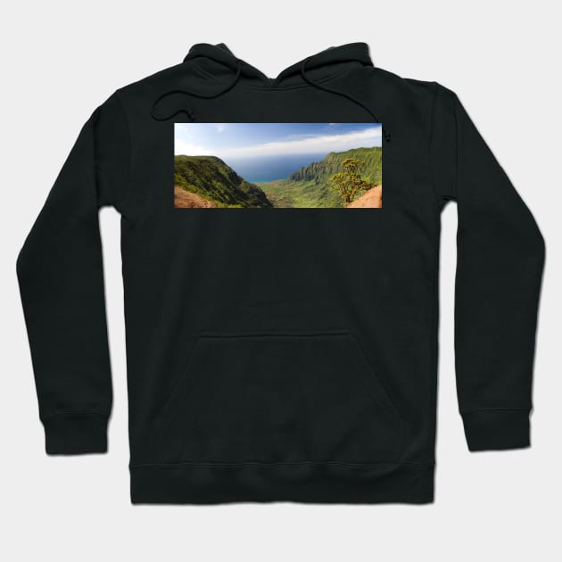 Kauai NaPali Overlook_WGC Hoodie by wgcosby